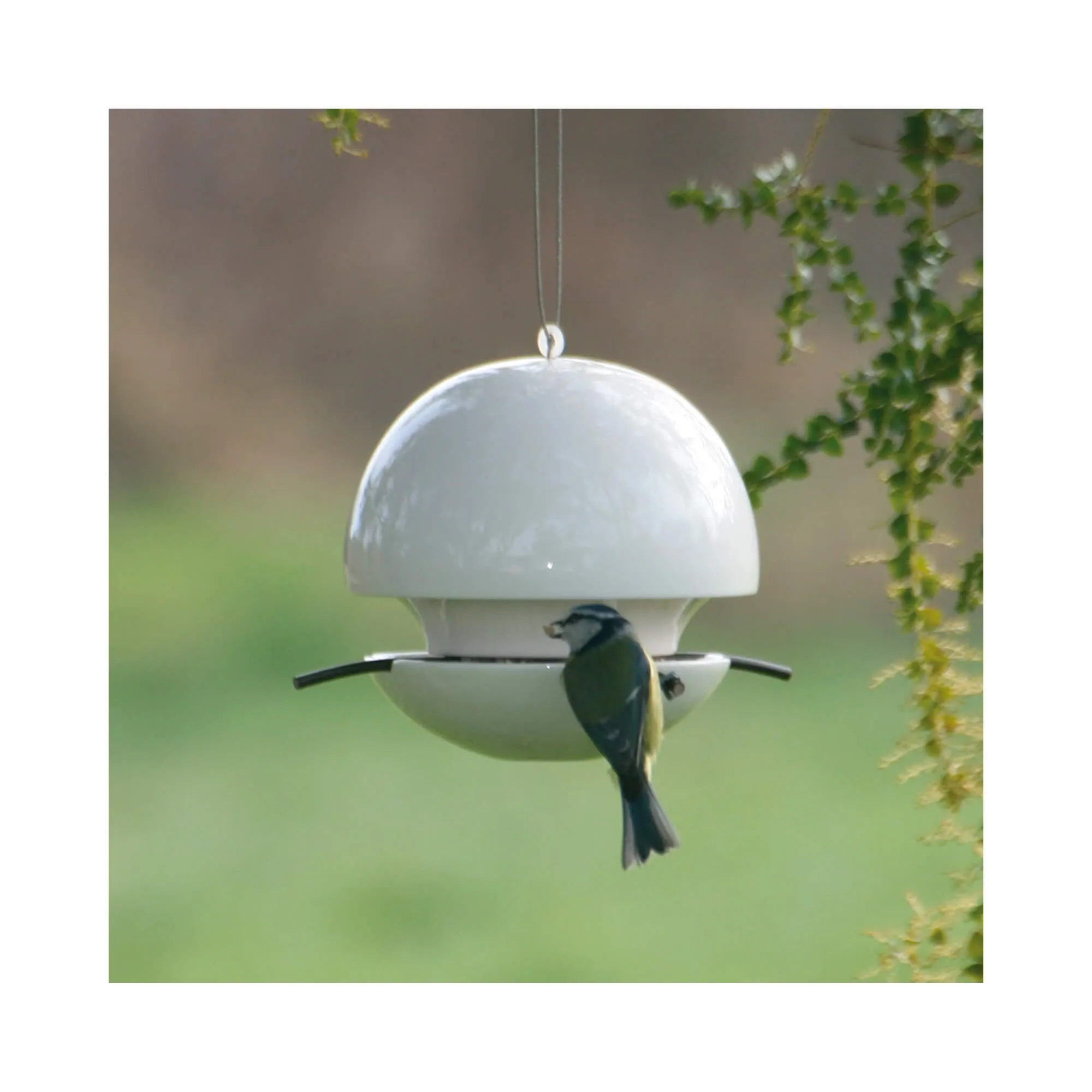 Green&Blue Birdball Seed Bird Feeder