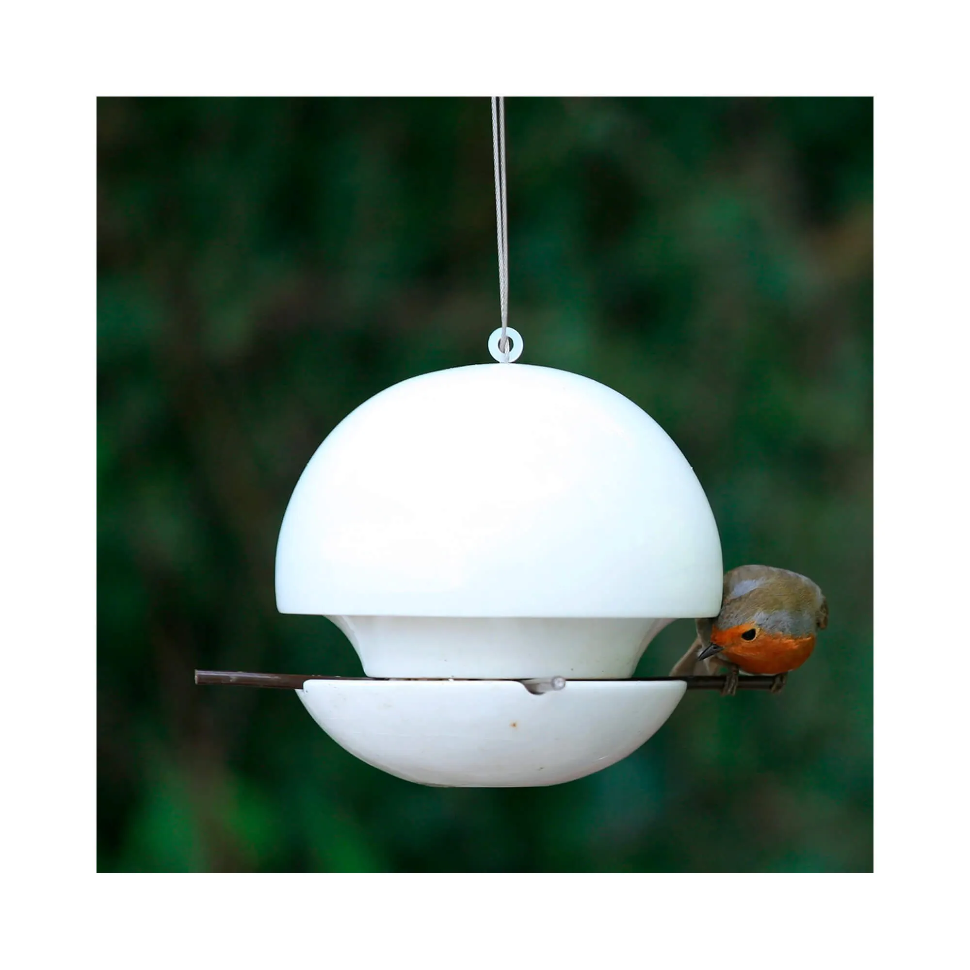 Green&Blue Birdball Seed Bird Feeder