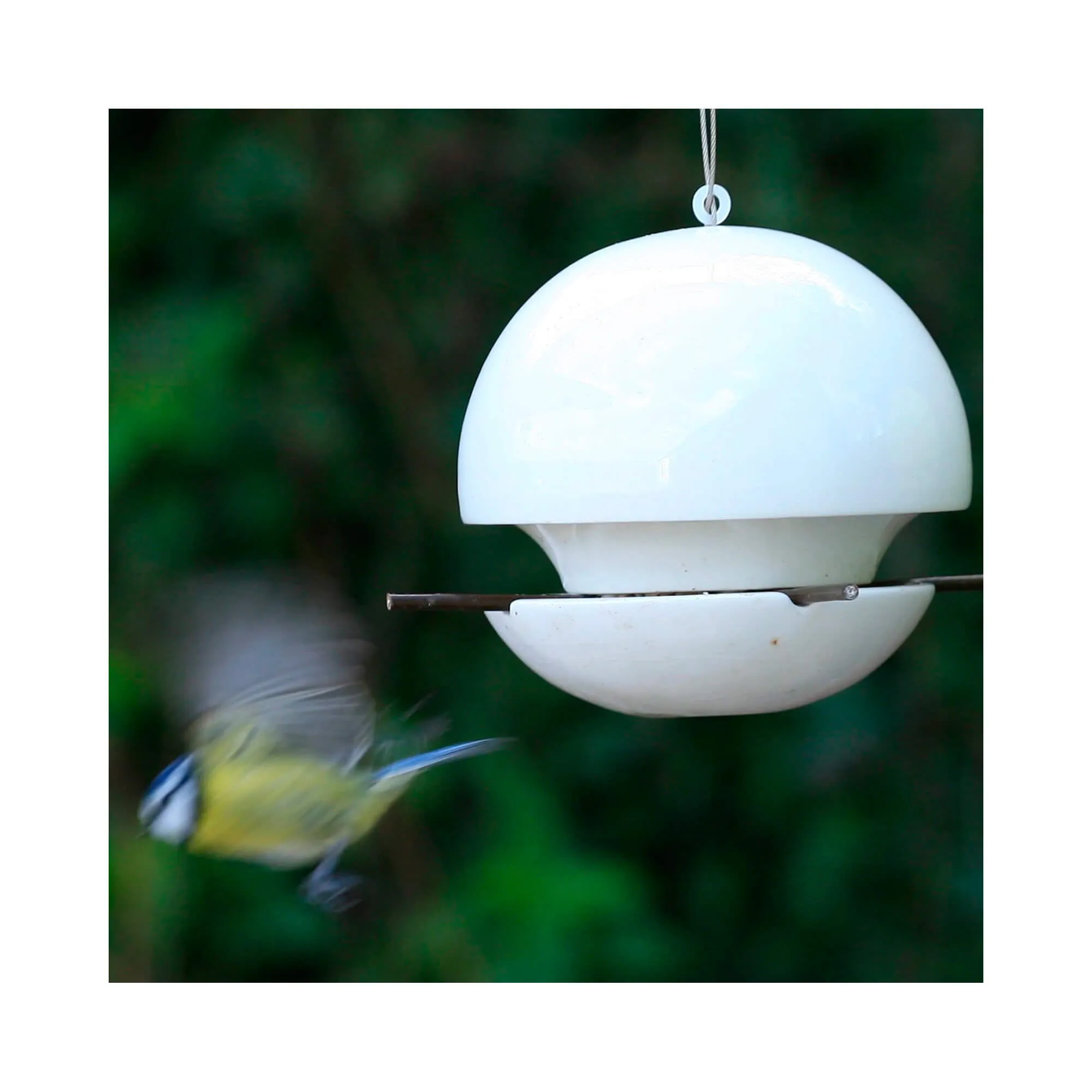 Green&Blue Birdball Seed Bird Feeder