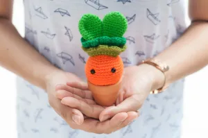 Miss Carrot Amigurumi Pattern & Kit